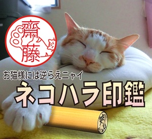 �l�R�n����� ���C��
